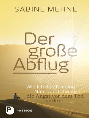 cover image of Der große Abflug